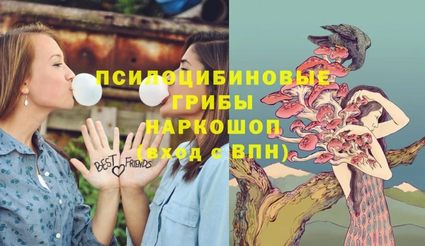 дмт Бугульма