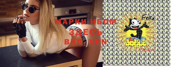 твердый Верхний Тагил