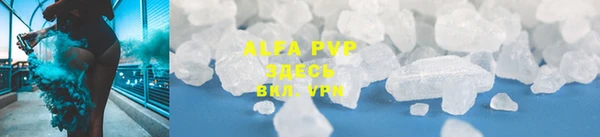 прущие грибы Верхнеуральск