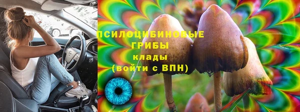 прущие крисы Бронницы