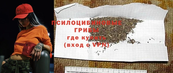 дмт Бугульма